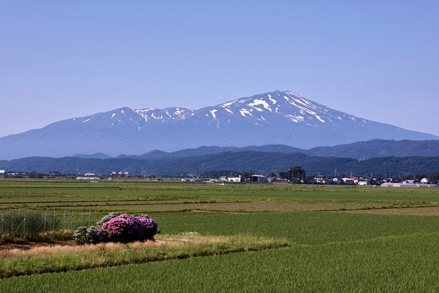 四季折々で表情を変える庄内平野の田園風景