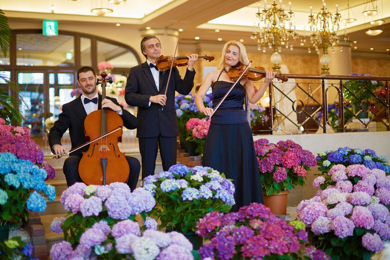 ホテルヨーロッパも「あじさいのホテル」となり、特別プランなどを提供