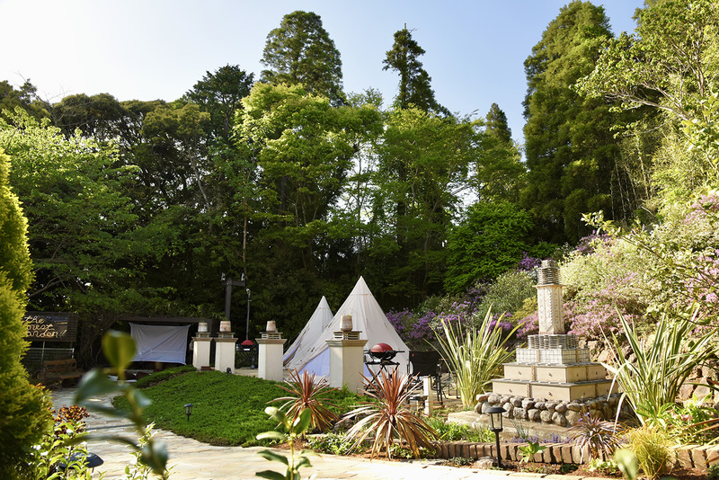 千葉・季美の森に「The Forest Garden KIMINOMORI」をオープンした