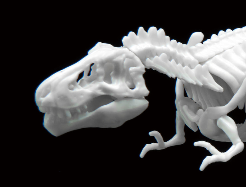 「恐竜骨格プラモデル ティラノサウルス」