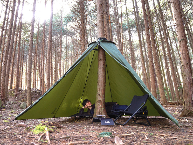 「木と一緒に眠る」体験ができる