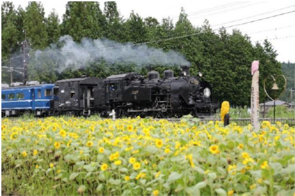 東武鉄道「SL大樹」