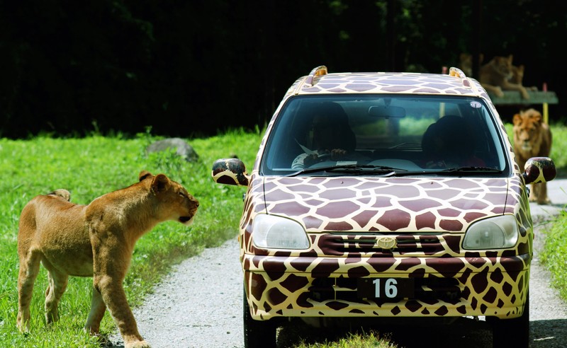 栃木県在住と分かる住所記載の証明書が必要