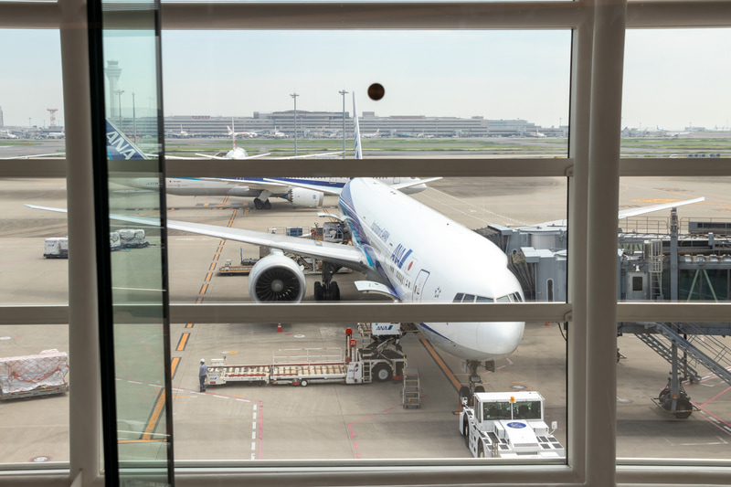 ニューヨーク行きのNH110便（ボーイング 777-300ER）。今回の乗客は37人