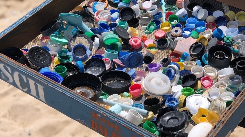 売上の一部を「Sustainable Coastlines Hawai'i」に寄附