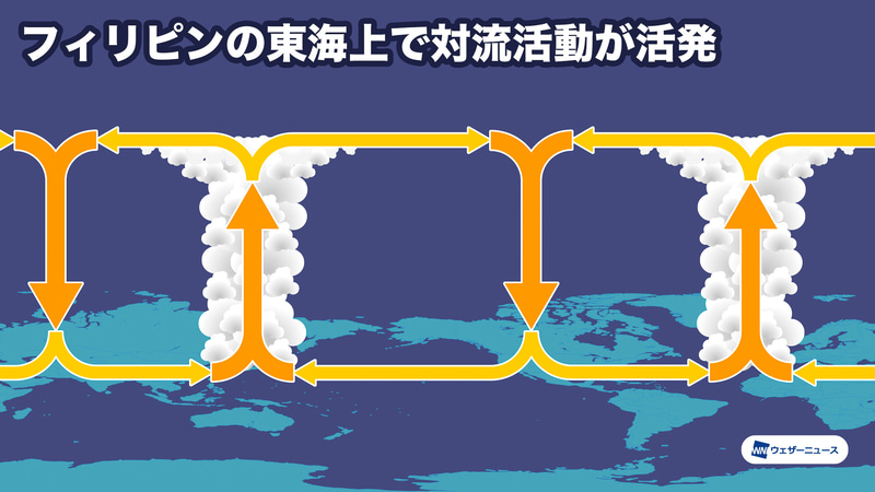シーズン前半（7～8月）の大気循環模式図