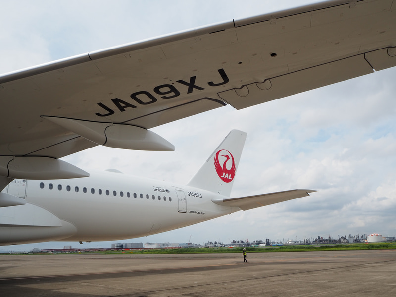 登録記号は「JA09XJ」（写真提供：日本航空）