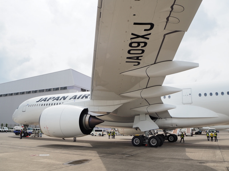 登録記号は「JA09XJ」（写真提供：日本航空）