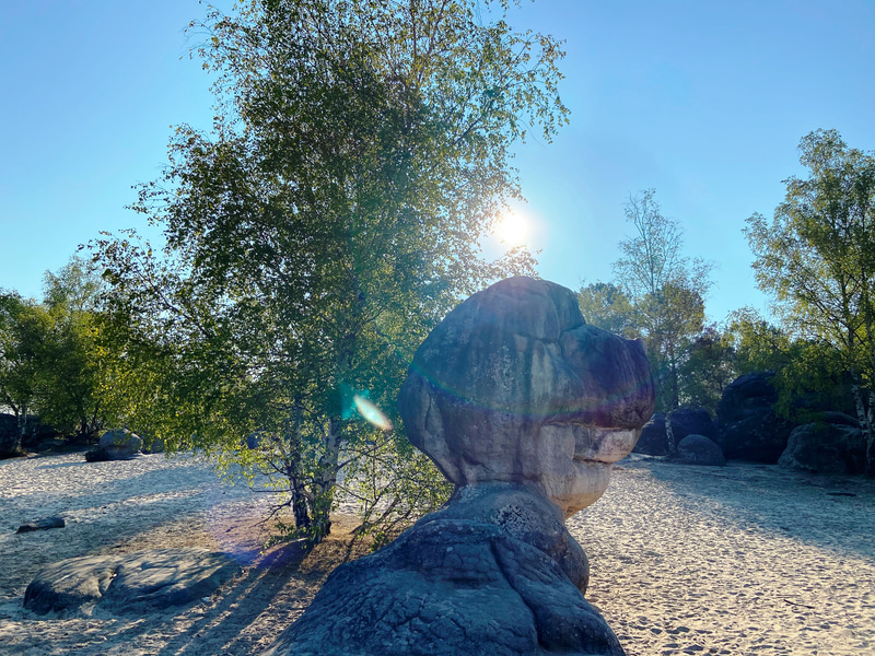 犬の姿に見える岩