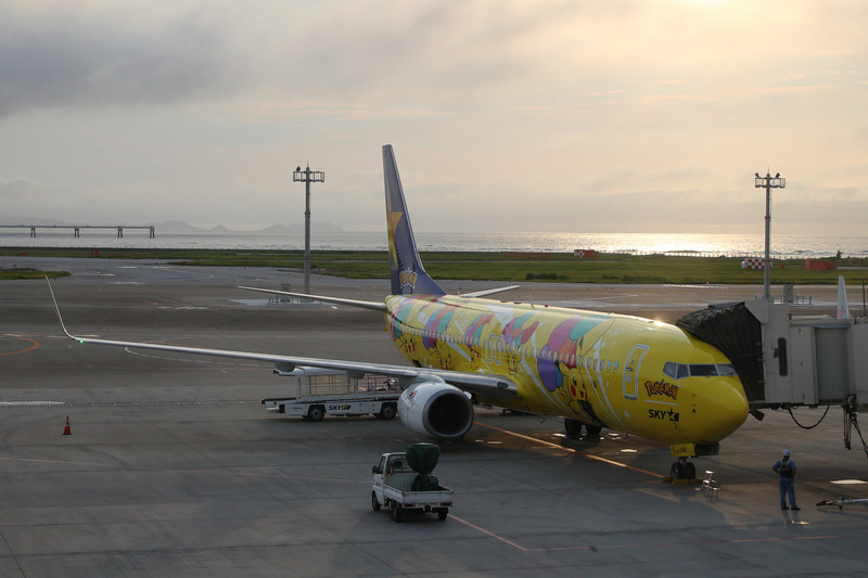 ボーイング 737-800型機（JA73AB）