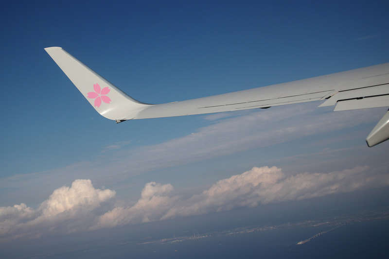 ウイングレットは桜