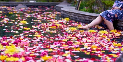 お台場 大江戸温泉物語 最後の夏のイベント第1弾 和傘のアートや華やかな足湯 トラベル Watch