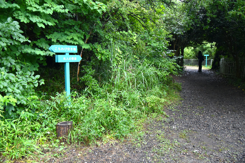分かれ道で迷ってもスタッフが周囲にいるのでご安心を