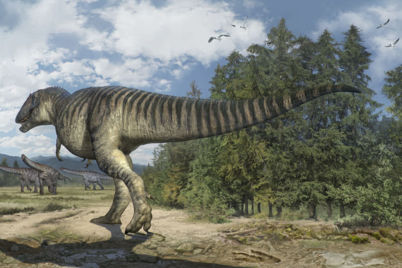 エウブロンテス・ノビタイ 想像図