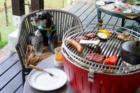 愛犬と過ごせる温泉付き客室などを拡充 東京マリオットホテルほか トラベル Watch