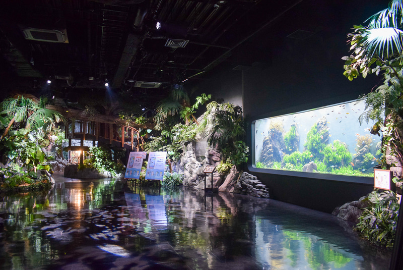 リニューアルしたDMMかりゆし水族館に行ってみた