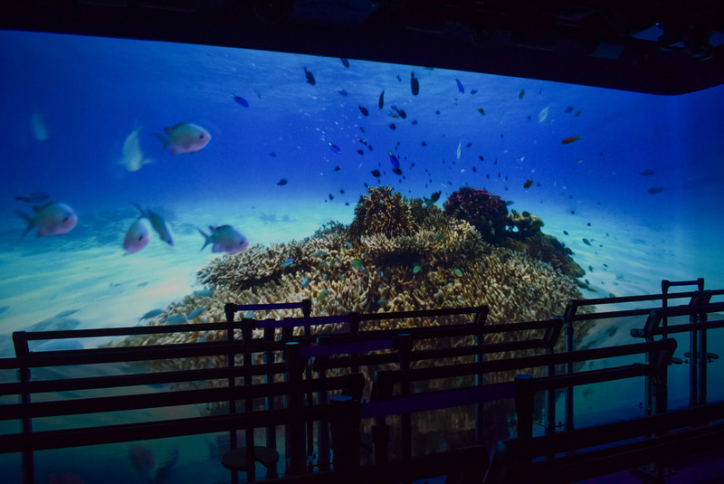 大型スクリーンいっぱいに広がる沖縄の自然。水中撮影やドローンによる臨場感ある映像が映し出される