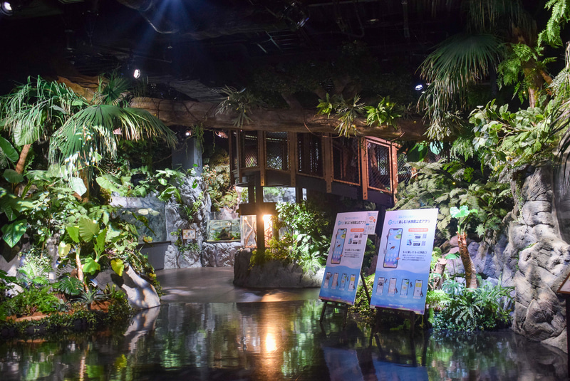 木々に覆われウッドデッキなども設置された展示エリア