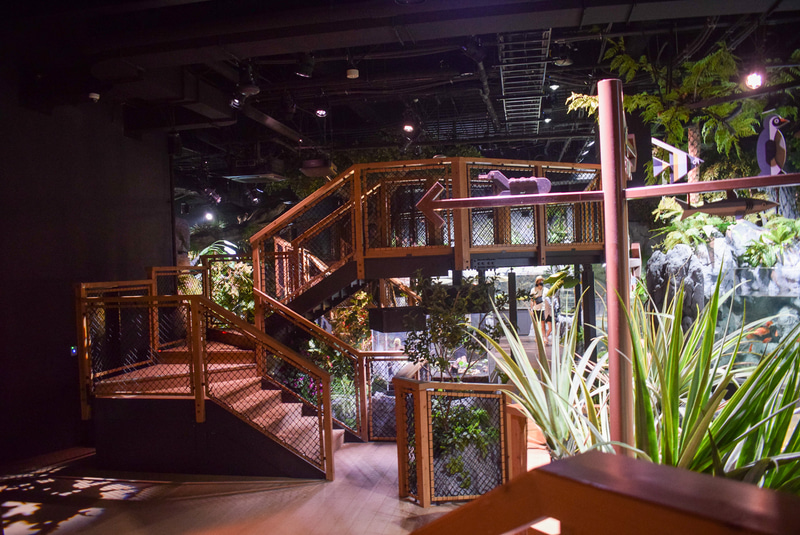 ウッドデッキを上れば高い目線で生き物たちを観察できる