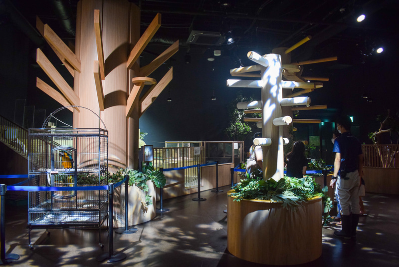 動物エリア。柵が低く開放的で、タワーなどで自由に動物や鳥が休んでいる