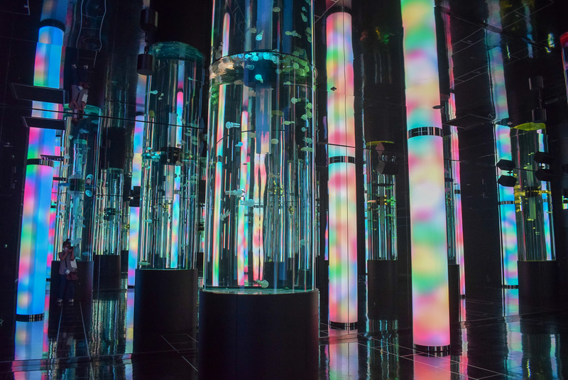 花が咲いたような鮮やかな照明に