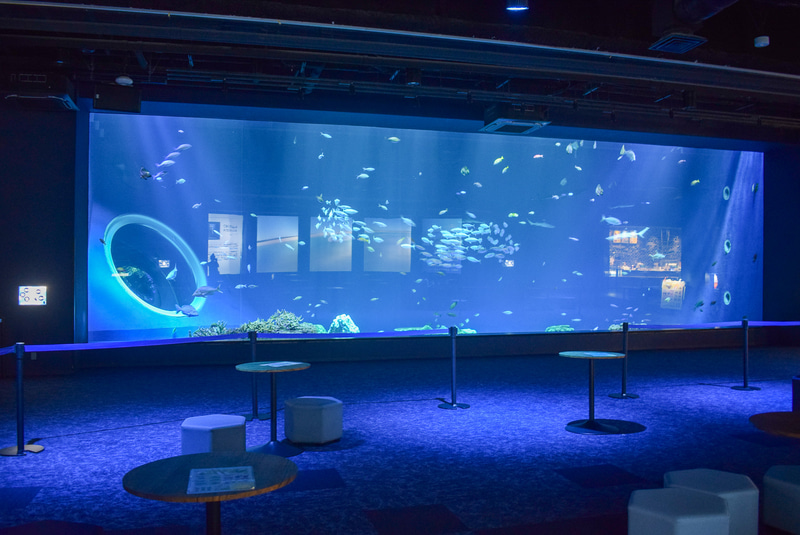 大水槽には小型の熱帯魚から大型のサメやエイ、ウミガメが泳ぐ