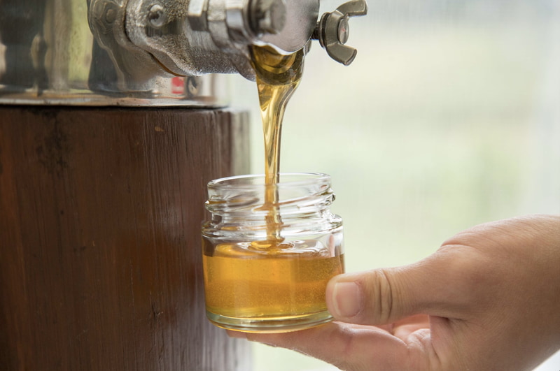 はちみつとミードの魅力を五感で楽しめる