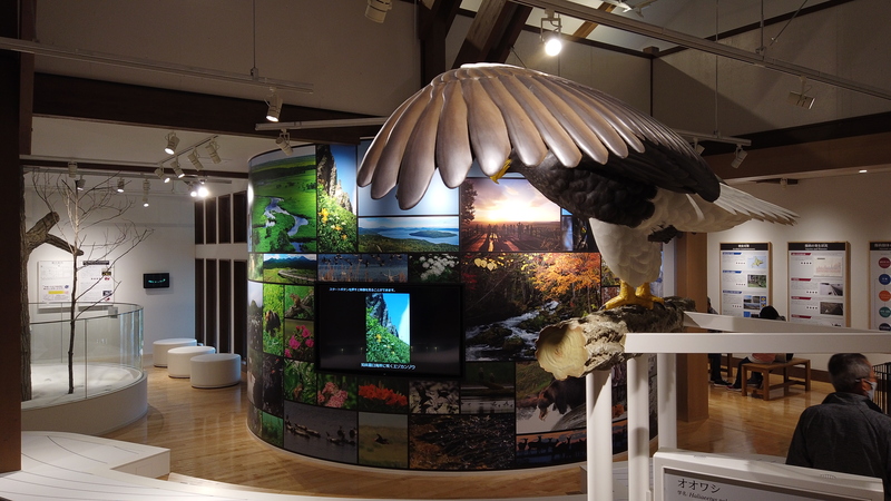 釧路湿原野生生物保護センターがリニューアルオープンした