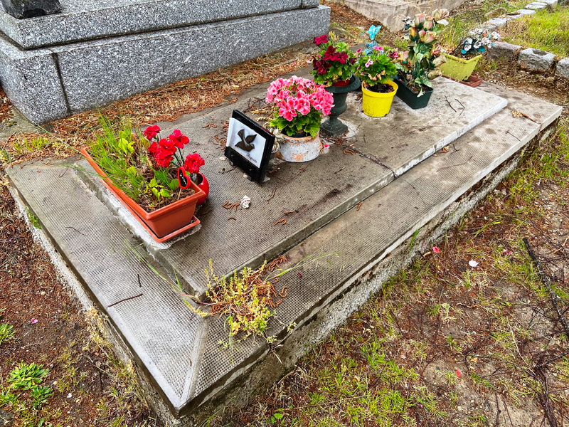 このお墓に女優エマニュエル・リヴァが眠っています