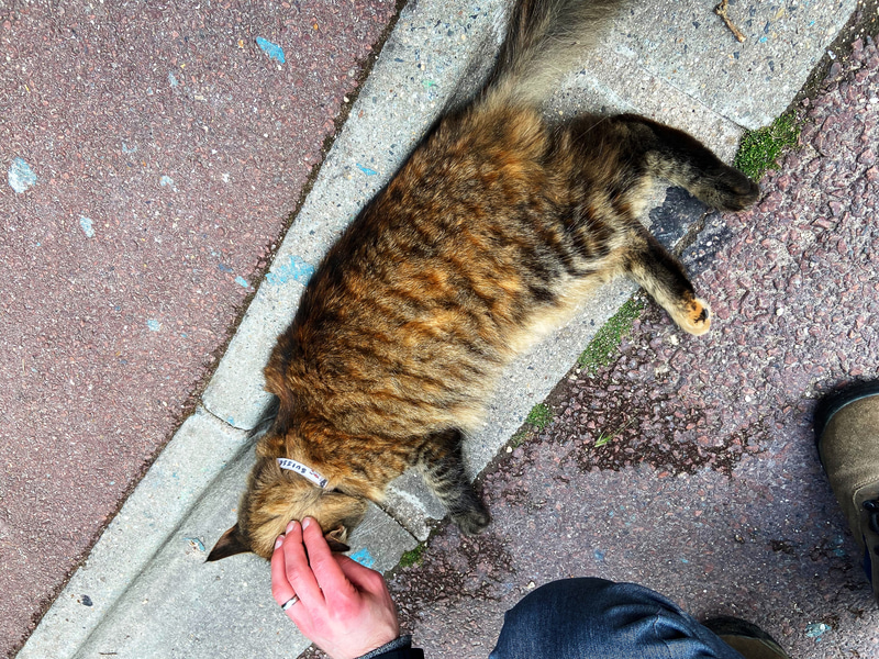 この子はスイス館に住んでいるようです