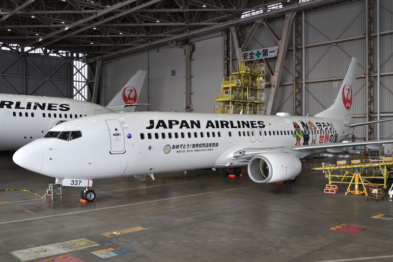 初便は羽田～奄美大島線のJL659便（写真提供：日本航空）