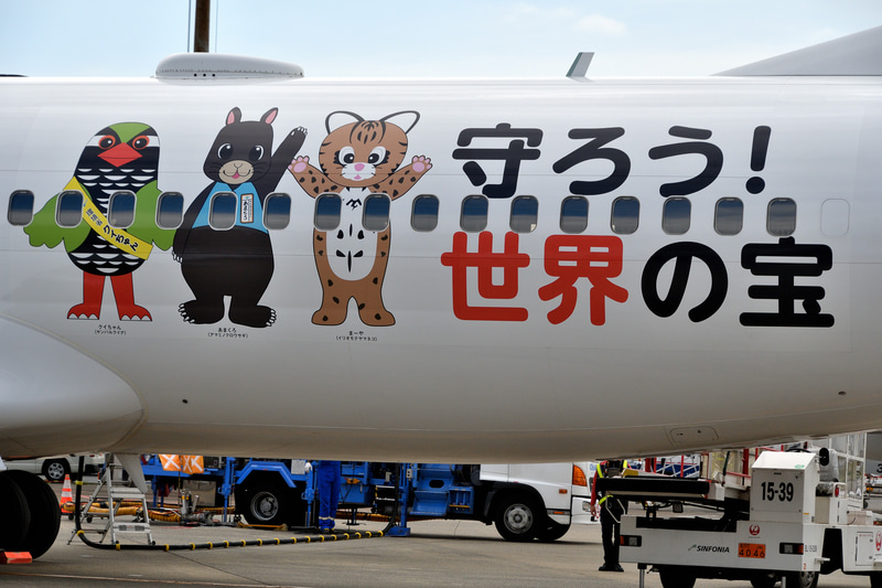 初便は羽田～奄美大島線のJL659便（写真提供：日本航空）