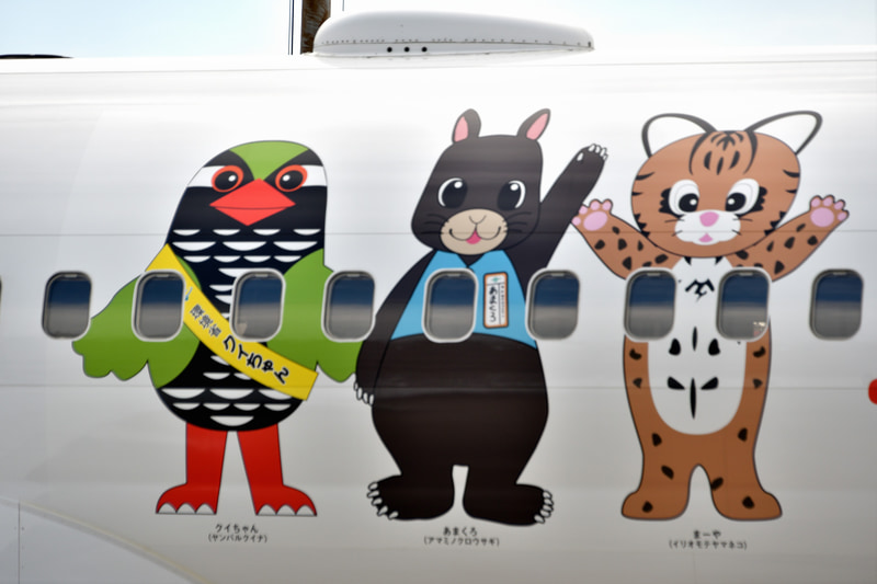 初便は羽田～奄美大島線のJL659便（写真提供：日本航空）