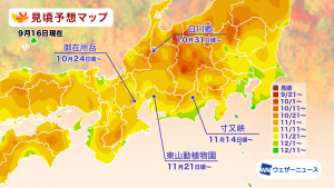東海の見頃予想
