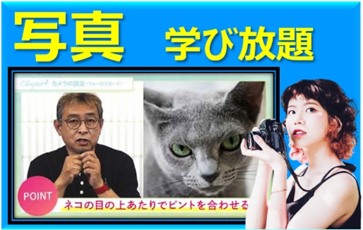 カテゴリごとに毎月新たな講座をアップデートする