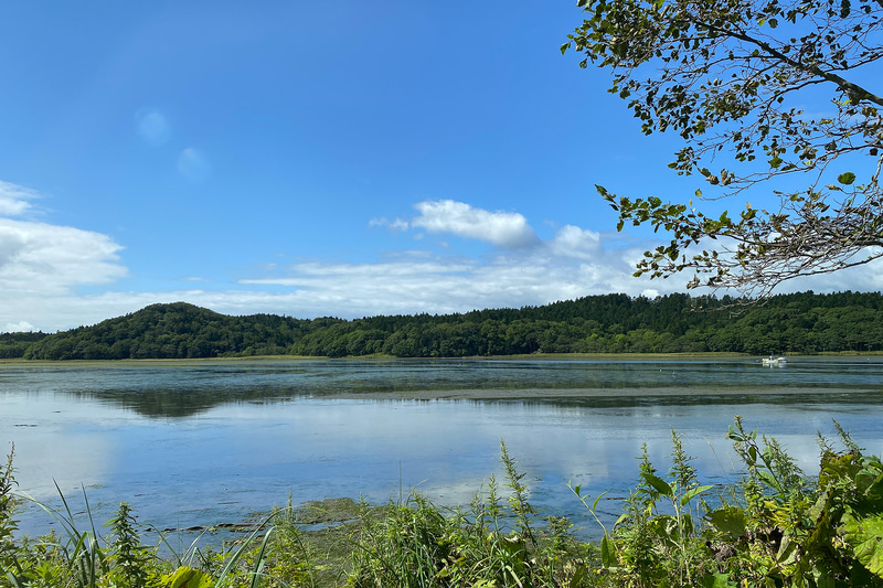思い出のマーニーっぽいですか？