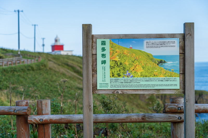 看板にも書いてあるのですが、ここは新垣結衣さん・生田斗真さん主演の映画「ハナミズキ」のロケ地となった場所