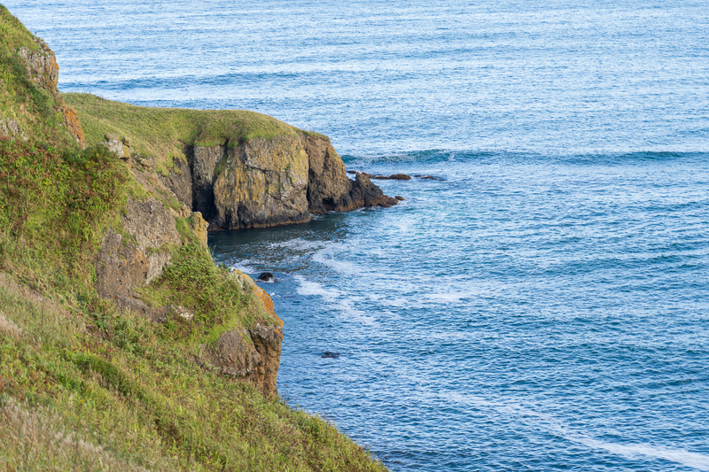 目を凝らして波打ち際も探するのですが……