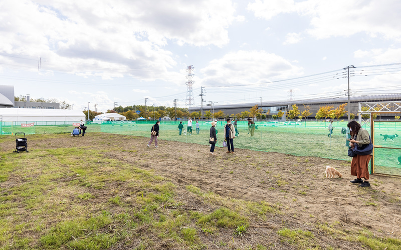 広々としたドッグランは犬のサイズ別に3スペース用意
