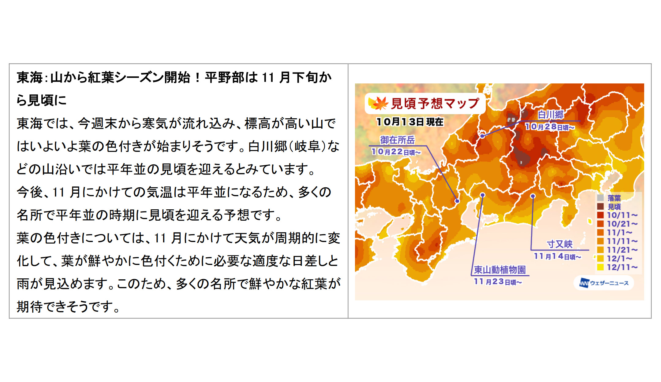 エリア別見ごろ予想（東海）