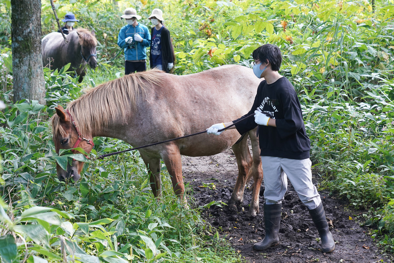 道の途中で、まさに道草を食ってしまう