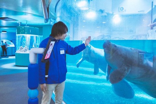 新屋島水族館