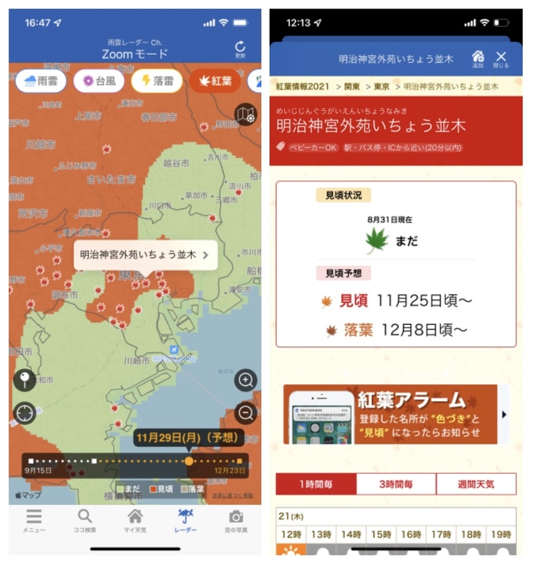 紅葉名所のスポット情報を見ることができる