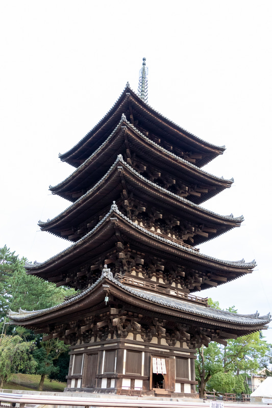 重厚で壮大な興福寺の五重塔。奈良のランドマーク的なこの姿が見れるのもあと少し