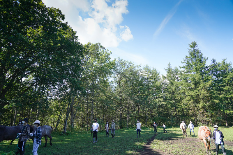 各自さっそく馬に近づいていく