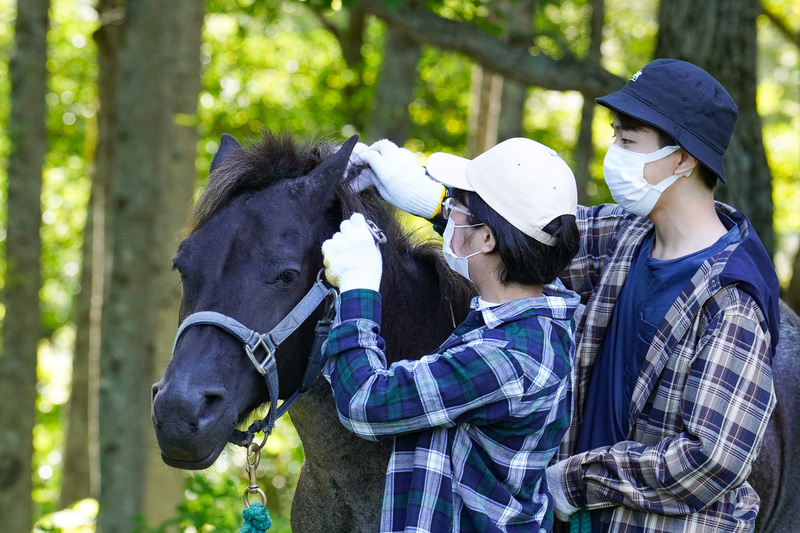 チームで協力しながら