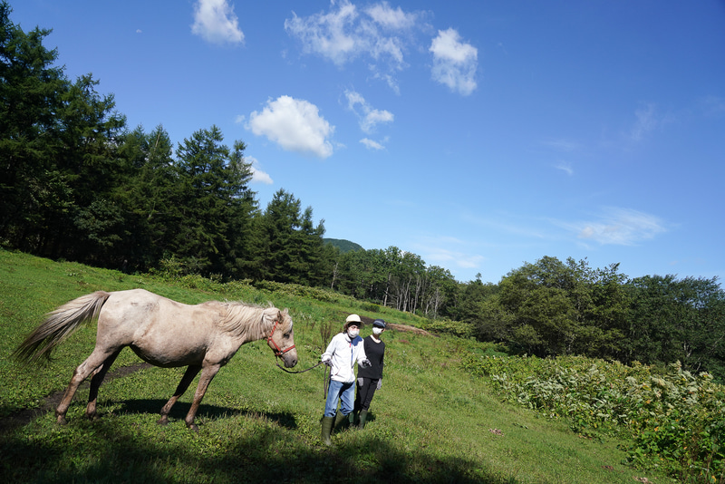 もうすんなりと装着できるようになった