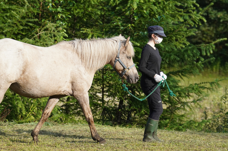 ピタッと止まって、馬も止まってくれるように訓練する