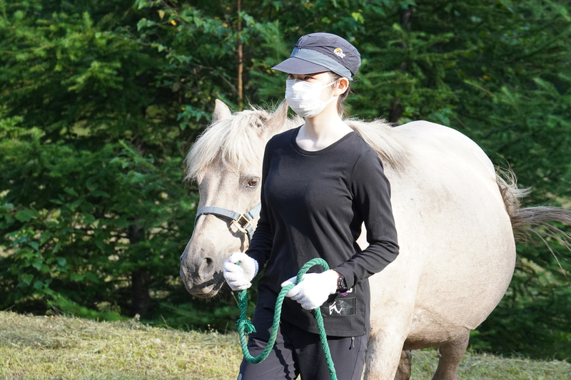自分の意思で引き回せるようにする