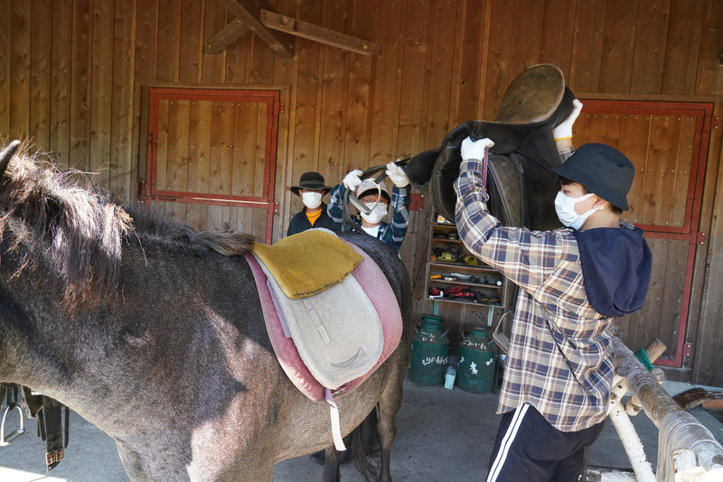 鞍を馬に乗せていく